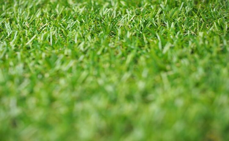 人工芝の継ぎ目を消して美しい庭に!人工芝をきれいに張る方法とは