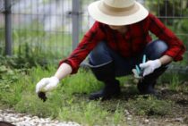 草刈りのコツは根を残すこと！雑草を効果的に駆除する方法を紹介