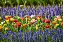 花壇での雑草対策方法を4つ紹介！デザインに合わせて対策法を選ぼう