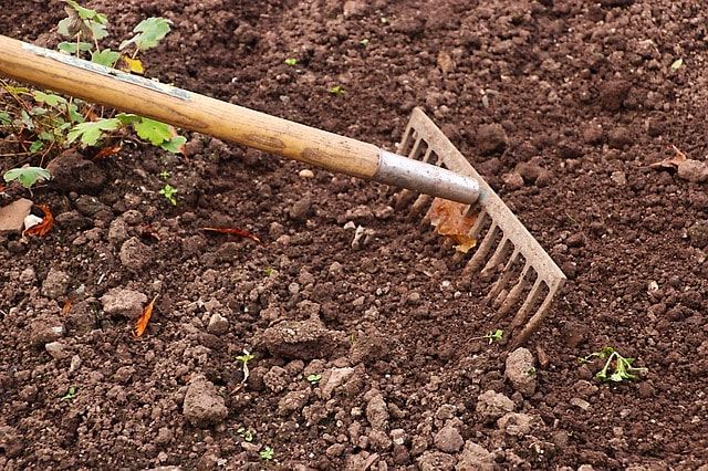 草取りのコツや便利な道具を紹介！面倒な草取りを省く方法もあります