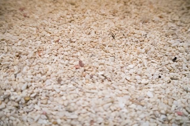 固まる砂利なら砂利の飛び散りも埋没も防げる！特徴とメリットを紹介