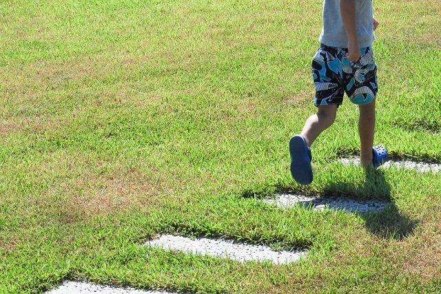 広い庭での雑草対策方法を紹介。手入れの少ないキレイな庭にしたい！