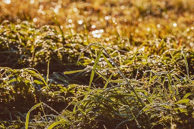 草刈機の安全な使用には事前の準備が重要！危険を予知して対策しよう