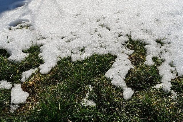 芝生の目土入れは手入れの基本！あらゆる場面で活用できる目土の基礎