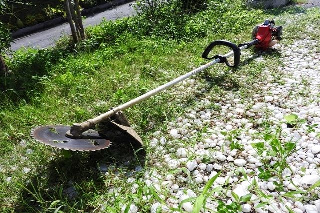 雑草を放置するとどうなる？考えられる危険とおすすめの対処法を紹介
