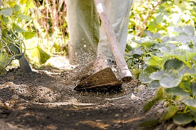 庭の草取りは便利な道具を使ってラクラク！雑草の予防方法も紹介