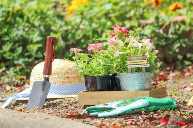広い庭での雑草対策方法を紹介。手入れの少ないキレイな庭にしたい！