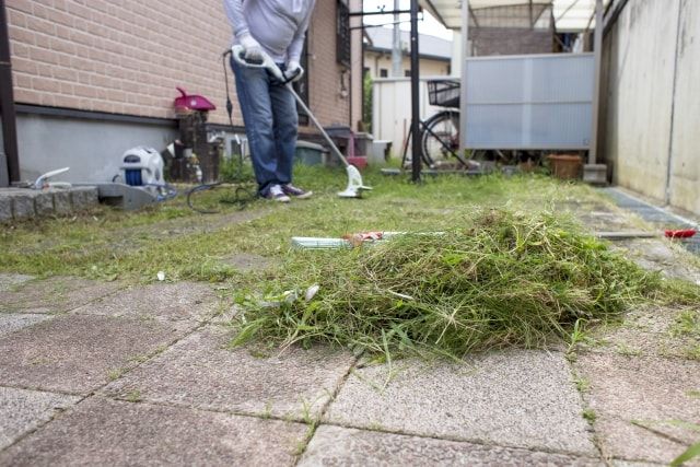 大量の雑草をまとめて除草しよう！雑草を生えにくくする方法も紹介