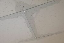 水漏れ事故は対応が肝心！加・被害者それぞれがするべきことは？