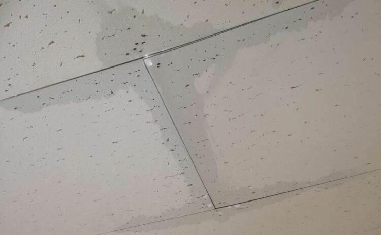 水漏れ事故は対応が肝心！加・被害者それぞれがするべきことは？