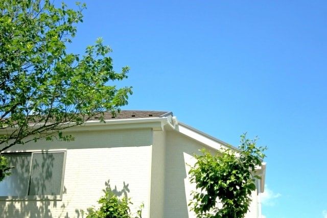 隣の木の枝を伐採するのはNG！法律で決まっている隣の木の枝の対処法