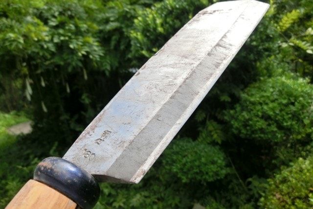 キンモクセイの抜根方法を解説！自力で抜根が難しい場合の方法も