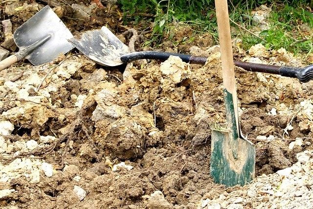 栗の木の伐採費用の相場！抜根作業や費用が高くなるケースについて