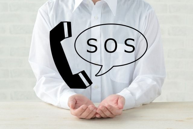 いちじくの木の伐採は自分？業者？判断基準やそれぞれの流れをご紹介