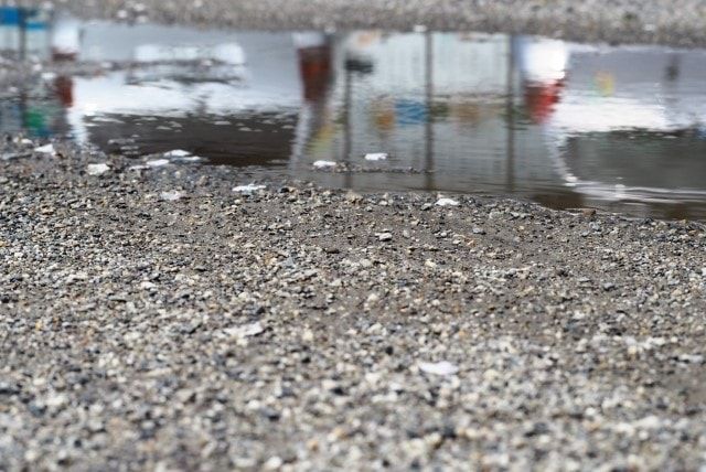 駐車場に撒く除草剤は「粒剤タイプ」が効果的！撒き方の手順とコツ