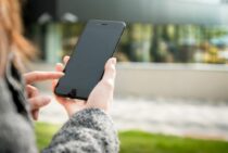 ヒアリの羽つきは女王アリ！？見分け方といざというときの連絡先を知る