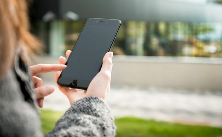 ヒアリの羽つきは女王アリ！？見分け方といざというときの連絡先を知る