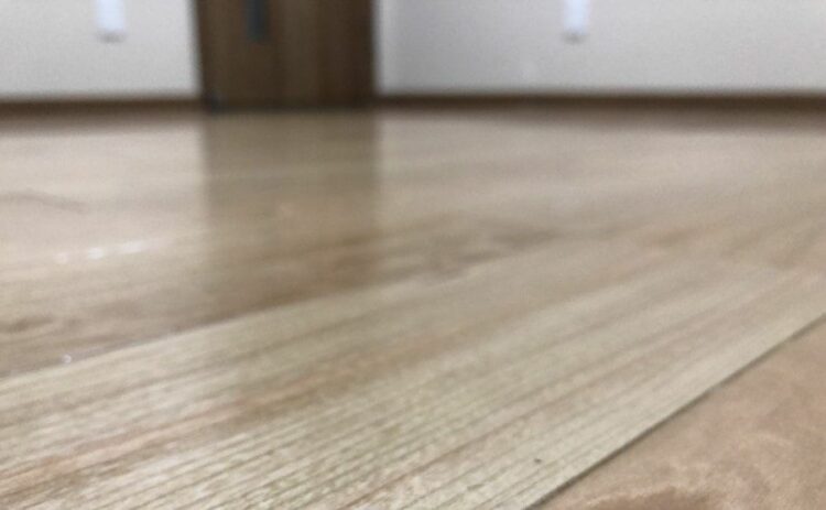 床がきしむのはシロアリが原因？被害調査・駆除・予防について解説