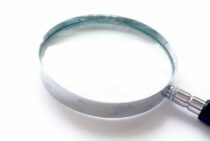 ヒアリの巣「蟻塚」の特徴について！もし見つけた場合の対処も