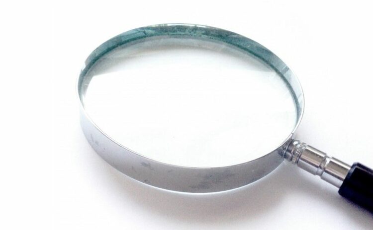 ヒアリの巣「蟻塚」の特徴について！もし見つけた場合の対処も