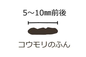 コウモリのふん