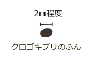 ゴキブリのふん
