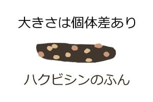 ハクビシンのふん