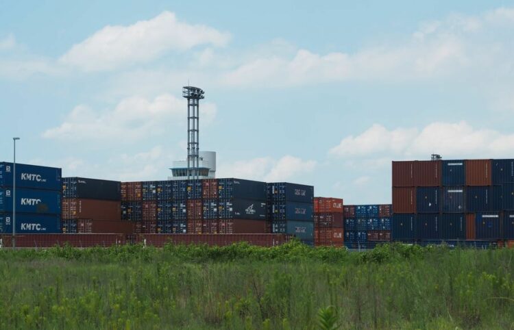 ヒアリの危険性とは！見つけた場合の対処や刺されないための予防方法