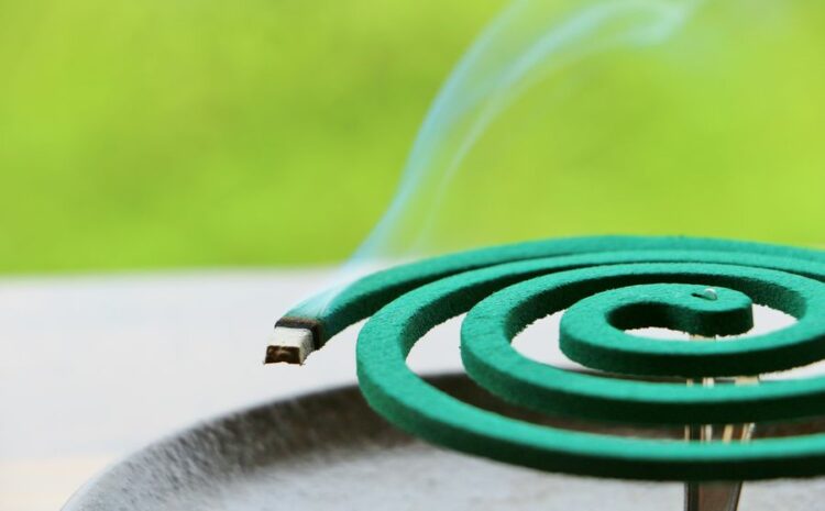 羽アリに蚊取り線香は本当に効く？併用して効果アップな対策3選も！