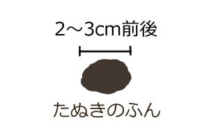 タヌキのふん