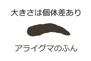 アライグマのふん