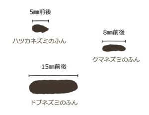 ネズミのふん