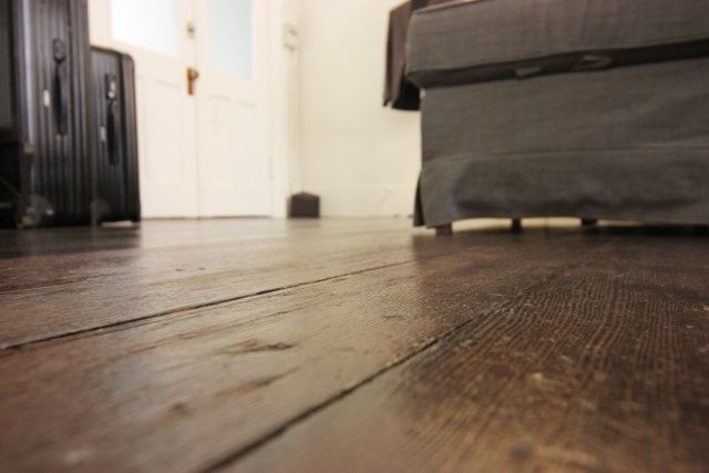 床がきしむのはシロアリが原因?被害調査・駆除・予防について解説