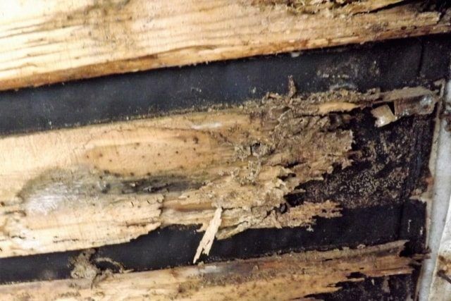 シロアリ被害にあうと