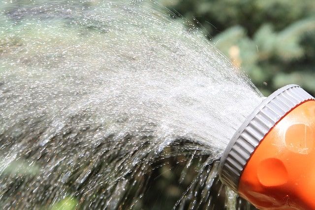 サツキ剪定方法｜時期は5月の花後！サツキがたくさん咲く剪定の仕方