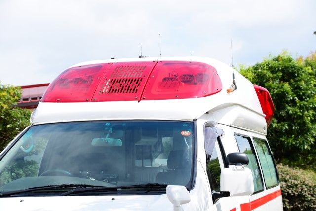 ヒアリの羽つきは女王アリ！？見分け方といざというときの連絡先を知る