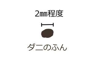 ダニのふん