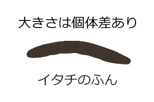 イタチのふん