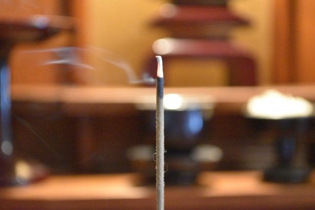 動物の供養まとめ！供養の意味からペットの火葬方法までを解説します