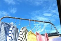 カツオブシムシを発見したときの対処法│生態・発生源・予防対策も