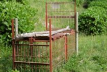罠の設置には資格が必要なことも！有害鳥獣の狩猟免許試験や合格率