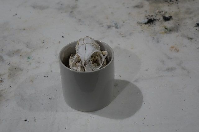 骨壺に納めた遺骨