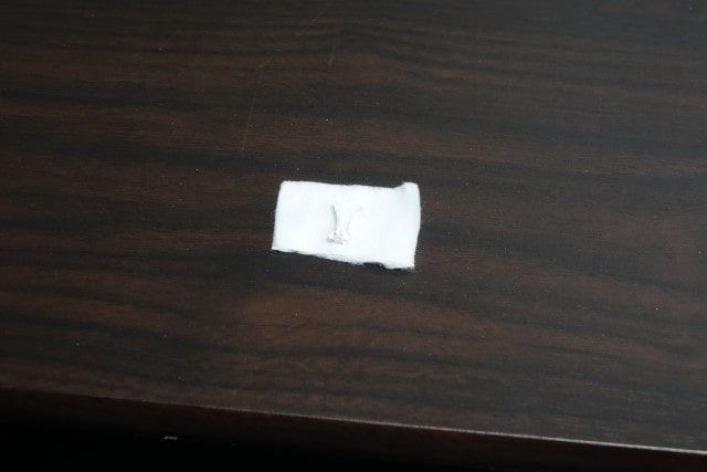 しっぽ・指の骨をガーゼに