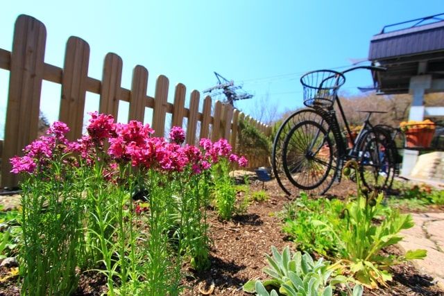形にこだわらない自然に還す供養