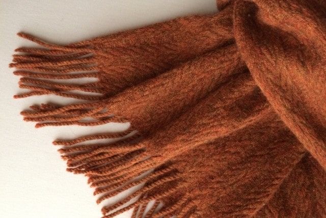 カツオブシムシを発見したときの対処法│生態・発生源・予防対策も