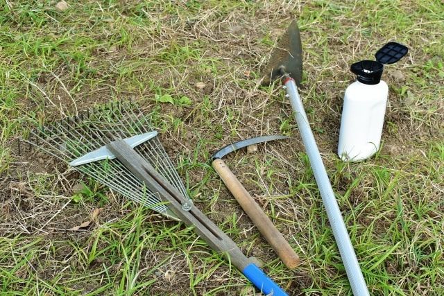 除草方法を知って雑草を根絶！除草剤の効果やDIYでの使い方も紹介