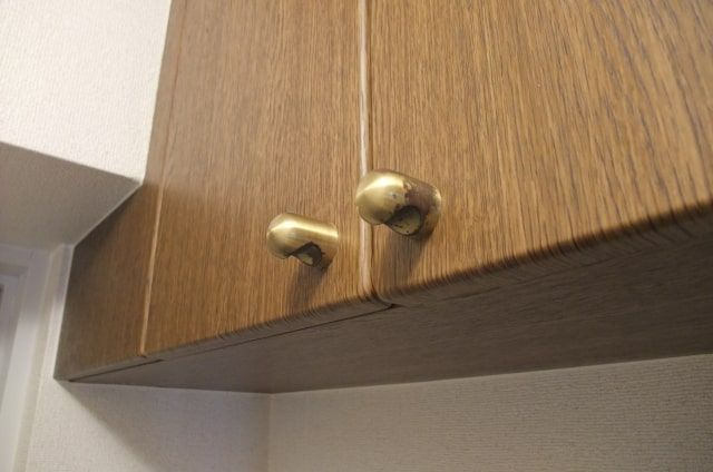 床下にいるねずみの種類や駆除の方法を解説