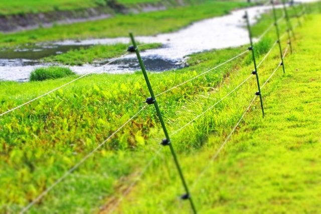 罠の設置には免許が必要！狩猟免許試験の内容から合格率や費用まで！