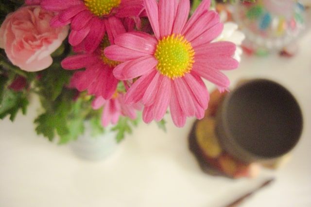 犬の火葬費用はどれくらい？火葬の流れや業者選びのコツも教えます。