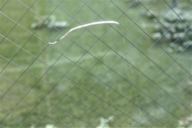 ガラス飛散防止フィルム|選び方のポイントや正しい貼り方を徹底解説